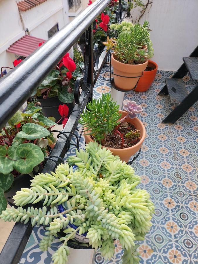 Private Terrace-Romantic-Sea, Castle Views-Central Alicante Extérieur photo